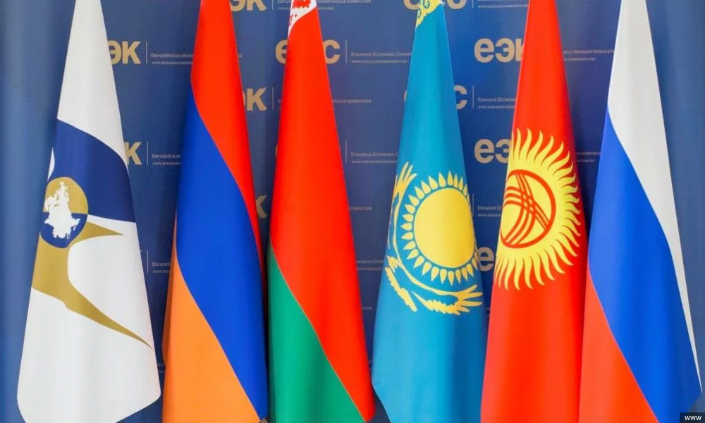 ЕАЭБ: COVID-19 менен күрөшүүдө бирдиктүү аракет көрүү максатында эл аралык жыйын өттү 