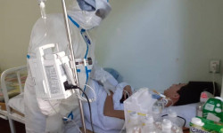 За сутки по республике зафиксировано 215 новых случаев COVID-19