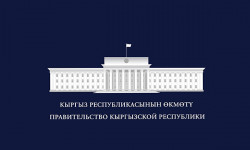 Правительство работает в особом режиме
