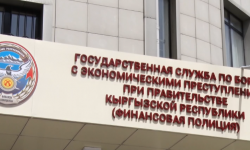 Сыймык Жапыкеев расставил приоритеты в работе Финансовой полиции