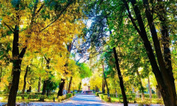 Школьные каникулы начнутся с 2 ноября