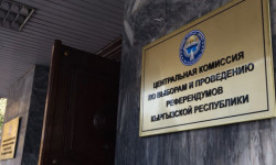 Подготовка к выборам