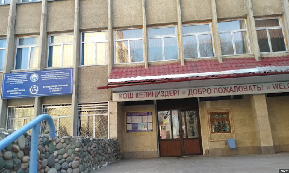 Кесиптик лицейлер үчүн 10 эксперименталдык билим берүү программасы иштелип чыккан