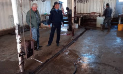 Нарын шаарындагы мал соючу жайлардан эреже бузуулар аныкталды