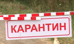 Араван, Өзгөн, Ноокат жана Кара-Суу райондоруна карантиндик чектөөлөр 13-ноябрга чейин күчүндө болот