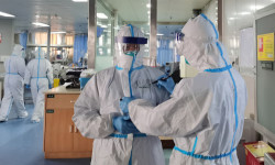 COVID-19: выявлено 479 новых случаев коронавируса за сутки