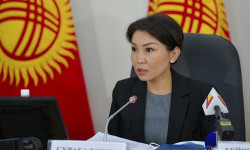 Коронавируска каршы күрөшүүдө кандай кемчиликтер бар? 
