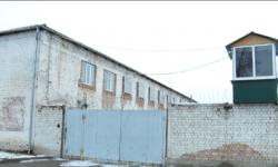 В Кыргызстане помилованы 230 граждан и сокращены сроки в отношении 38 осужденных