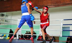 В Кыргызстане проходит чемпионат КР по боксу