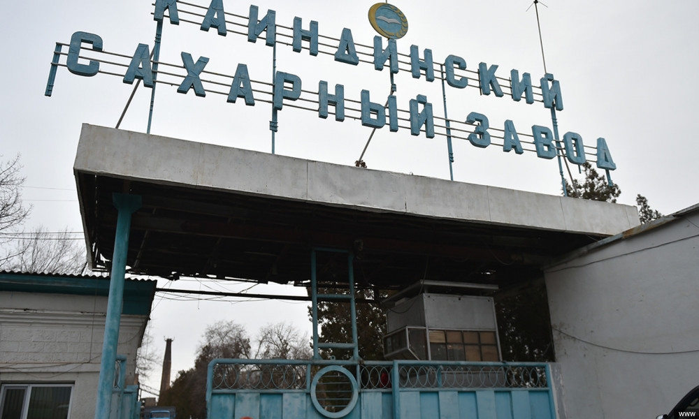 Недопустимо снижать цены на свеклу в период сбора урожая - Новиков 