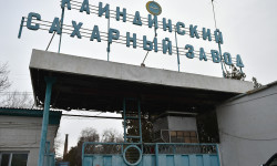 Кант кызылчасынын аянты кеңейтилет