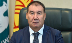 Главе ГНС Кабылу Абдалиеву объявлен выговор за ненадлежащее исполнение обязанностей