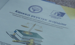 "Тилектештик автобусу" миңдей жаранга укуктук жардам көрсөттү 