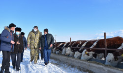 Биринчи вице-премьер-министр Артем Новиков Нарын облусуна болгон иш сапары 