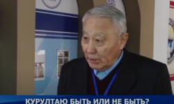 Курултаю быть или не быть?