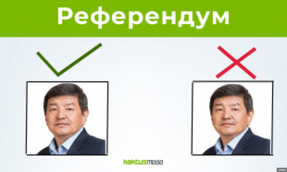 Мамлекеттик башкаруу формасы тууралуу референдум өткөрүү боюнча мыйзам долбоору каралат
