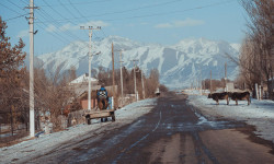 Развивая малую родину