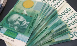 Среднемесячная зарплата кыргызстанца составила $201,53 