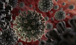 COVID-19: Дүйнөдө коронавирус инфекциясын 72 миллиондон ашык адам жуктуруп алды 
