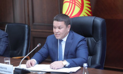 Талант Мамытов КМШ Мамлекет башчыларынын кеңешинин видеоконференция форматындагы жыйынына катышат