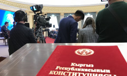 Президенттик башкаруунун өзгөчүлүгү эмнеде? 