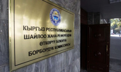 ЦИК КР аккредитовала еще 78 международных наблюдателей