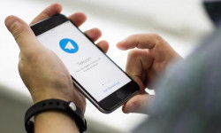Минсельхоз презентовал Telegram-бот "Дыйкан-дос" для помощи фермерам