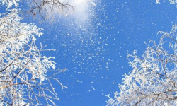 Алдыда кандай аба ырайы күтүп турат? Синоптиктер маалымат таратты