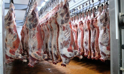 Айыл чарба өндүрүмүн чет өлкөгө экспорттоо боюнча киргизилген чектөө бир жумага алынып салынды