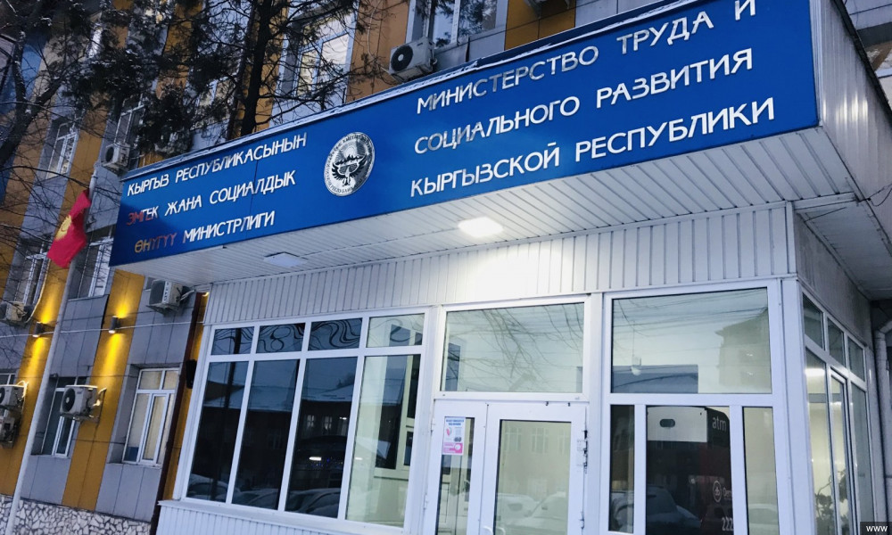 Жумушсуздар жумуш табуу үчүн кайда кайрылышы керек? 