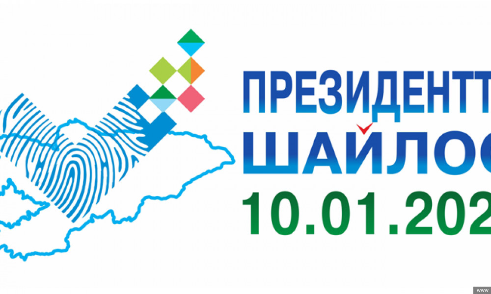 Президенттик шайлоо жана референдумдун өтүшүнө 315 эл аралык байкоочу көз салат 