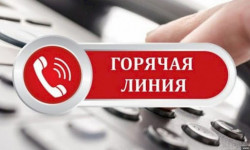 В ЦИКе действует «Горячая линия» по номеру 1255