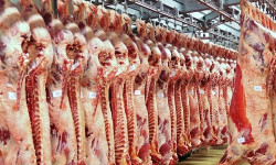 Кыргызстан Кытайга күнүнө 60 тонна эт экспорттоону көздөп жатат