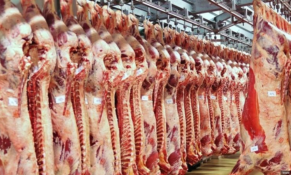 Кыргызстан Кытайга күнүнө 60 тонна эт экспорттоону көздөп жатат