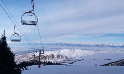 Караколдогу лыжа базасындагы өспүрүмдүн өлүмү  