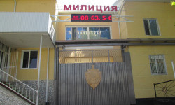 Кара-Кулжа райондук ички иштер бөлүмүнүн кызматкерлерине белгисиз жаран кол салды 