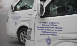 Кылмыштуулуктун, үй-бүлөлүк зомбулуктун алдын алуу максатында милиция эл менен жолугушту 
