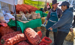 В столице пройдет ярмарка сельхозпродукции. Цены на продукты будут оптовыми 