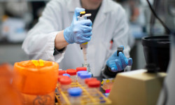 Өлкөдө акыркы бир күндө коронавирус 71 адамдан табылып, бир бейтап көз жумду