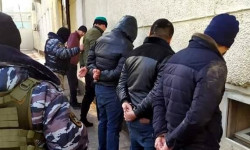 В прошлом году 172 члена ОПГ были привлечены к уголовной ответственности