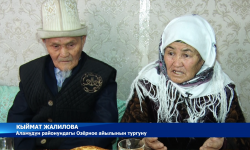 Президенттин Ант берүү аземине абай салгандар