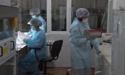 Кыргызстанда бир суткада коронавирустан эки бейтап каза болду 