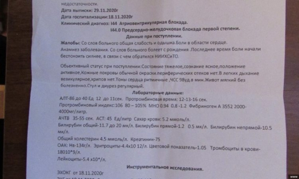 Жасалма медициналык документтерди даярдаган жаран кармалды