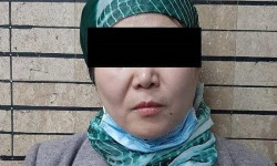 В столице задержали подозреваемую в совершении серийного мошенничества