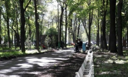 “Шаар парктары” ишканасы мэриядан “Фучик” сейил багын өз балансына өткөрүүнү сурады