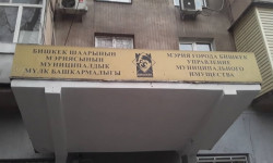 Руководителя одного из отделов УМИ водворили в ИВС. Выявлены  факты злоупотребления должностным положением
