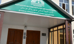 Проводится аудит деятельности ДУМК, - Финпол