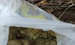 ИИМ: Токтогул районунда баңгизаттарын ири өлчөмдө сатуу менен алектенген жаран кармалды