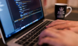 IT тармагын жандандыруу демилгеси