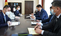 Кытай коронавирус менен күрөшүүдө жардам берет
